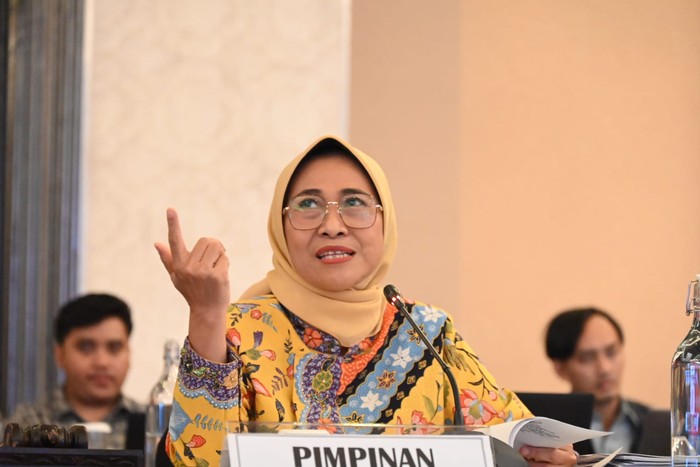 Ketua Komisi X DPR Hetifah Sjaifudian (Foto: Dok. Pribadi)