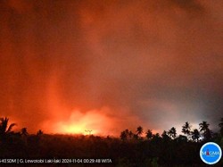 9 Orang Tewas, Status Gunung Lewotobi Laki-laki Naik Jadi Awas