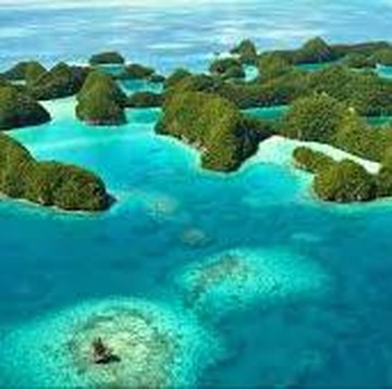 4 Fakta Menarik Pulau Palau, Tetangga Indonesia yang 'Diam' dan Tersembunyi