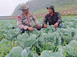 Misi Ipda Purwanto Wujudkan Swasembada Pangan Lewat Kampung Sayur Organik