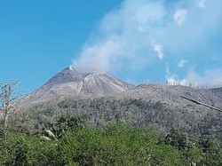 Gunung Lewotobi Laki-laki Kembali Erupsi, Tinggi Kolom Abu 1.000 Meter