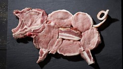 Ini Hal yang Terjadi Pada Tubuh Jika Mengonsumsi Daging Babi