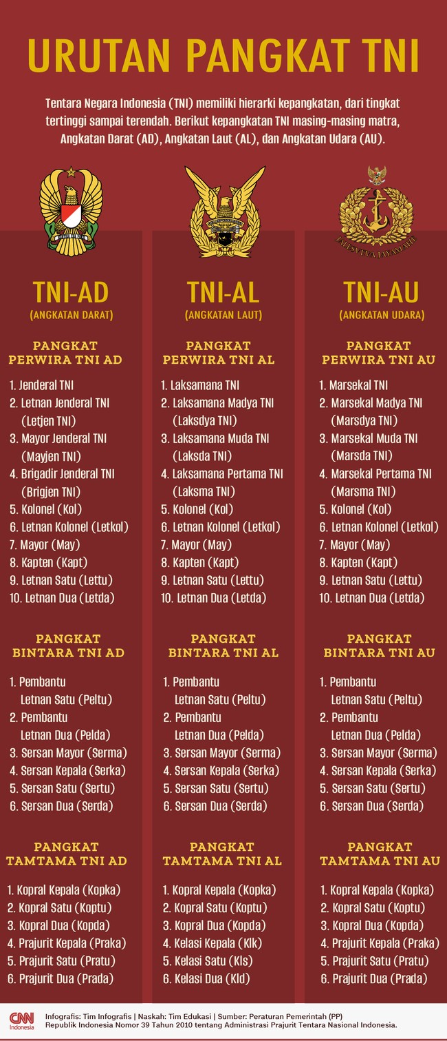 TNI Angkatan Darat (AD), Angkatan Laut (AL), dan Angkatan Udara (AU) memiliki hierarki kepangkatan, dari tingkat tertinggi sampai terendah.