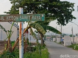 Cerita Ketua RT Saat Densus Tangkap Terduga Teroris di Demak
