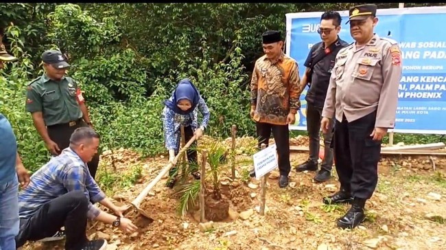 Hingga Oktober 2024, PNM telah melakukan penanaman 286.461 pohon dari beragam jenis, termasuk terumbu karang.