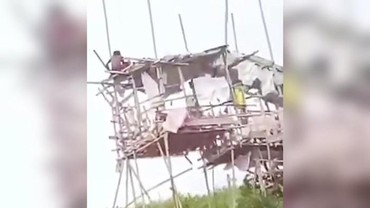 img-title Viral ODGJ Bangun Rumah Tingkat dari Kayu Bekas