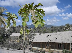 Pratikno Pastikan Bantuan Korban Erupsi Gunung Lewotobi Laki-laki Terpenuhi