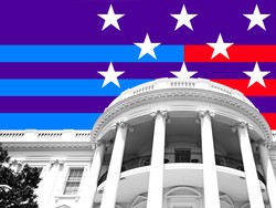 Pilpres Amerika 2024 Dimulai, Bagaimana Sistem Pencoblosannya?