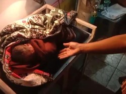 5 Fakta Bayi Merah Selamat Meski Dikerumuni Anjing Liar di Tasik