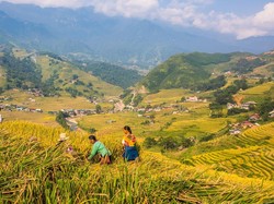 Cashback Hingga 10% untuk Liburan ke Sapa, Vietnam Bersama Antavaya
