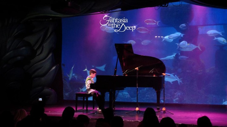 EMC gelar konser piano pertama kali di akuarium EMC gelar konser piano pertama kali di akuarium