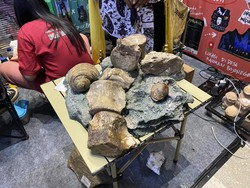 Bojonegoro Pamerkan Keindahan Geopark di Pameran Ekowisata IEF 2024