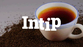 INTIP: 7 Bahan Dapur Ini Ampuh Usir Tikus di Rumah