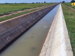 Proyek Irigasi di 4 Wilayah Ini Digeber, Ribuan Hektare Lahan Bakal Teraliri