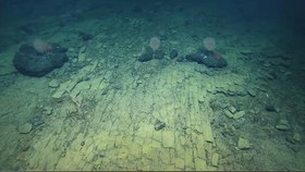 Temuan Bata Kuning Misterius di Dasar Laut Hawaii, Jalan ke Atlantis?