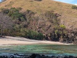 Pantai Beta, Tempat Piknik Asyik dan Lokasi Penyu Bertelur di Flores Timur