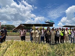 Syah Afandin-Tiorita Jadikan Desa sebagai Pusat Ketahanan Pangan di Langkat
