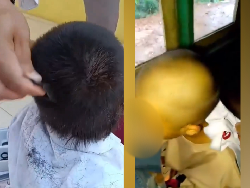 Video Viral Siswi SD Berkutu Digunduli Tanpa Sepengetahuan Orang Tua