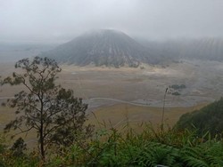 Jangan Panik Jika Terjebak Banjir Lautan Pasir Bromo