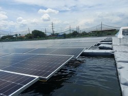 Begini Jurus PLN IP Capai Target Net Zero Emission