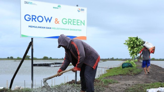Penilaian Corporate Sustainability Assessment (CSA) tahunan oleh S&P Global mencatat peningkatan skor signifikan BRI dari 63 pada 2023 menjadi 75 pada 2024.