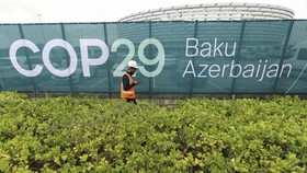 Hashim di COP29: Program Reforestasi 12,7 juta Ha Hutan Diminati Bezos