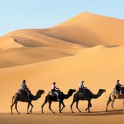 Jadi Gurun Terpanas di Dunia, Ini 5 Fakta Menarik Gurun Sahara yang Mungkin Belum Kamu Ketahui