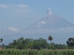 Gunung Semeru Kembali Erupsi Setinggi 1 Km