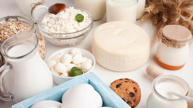 Mengenal Probiotik dan Prebiotik: Kunci Utama untuk Meningkatkan Kesehatan Tubuh