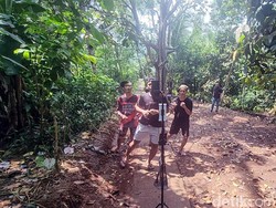 Joget Ayam Patuk Kembali Bergeliat di Cikembar Sukabumi