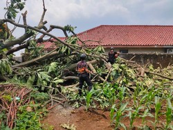33 Rumah Rusak Akibat Hujan-Angin Kencang di Bogor, 1 Keluarga Mengungsi