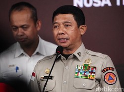 BNPB Ungkap Sejumlah Wilayah RI Rentan Bencana karena Alih Fungsi Lahan