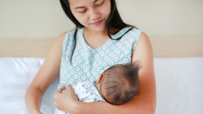 Makanan agar ASI Hindmilk Tinggi Lemak, Bagus untuk Bayi