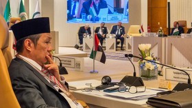 Hadiri KTT OKI-Liga Arab, RI Desak Status Israel Dicabut dari PBB