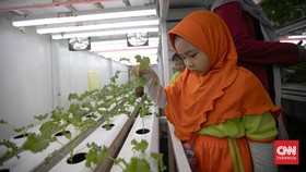 FOTO: Belajar Bertani dan Berternak di Agro Edukasi Wisata Ragunan