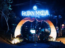 Hutan Mycelia: Daya Tarik, Harga Tiket Masuk, dan Jam Buka