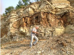 Fosil Dinosaurus dan Makhluk Purba Terawetkan dengan Baik di Lokasi Ini, Kok Bisa?