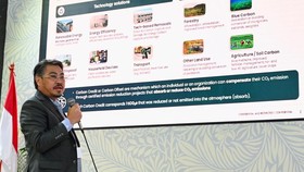 Pertamina Optimalkan Proyek Carbon Market, Kejar Target NZE