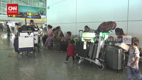 VIDEO: Puluhan Penerbangan Internasional Dari dan Ke Bali Dibatalkan