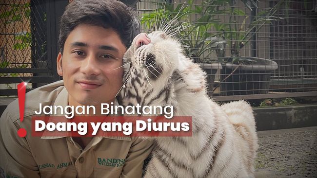 Pembelaan Kakak usai Alshad Ahmad Diminta Jenguk Anak Nissa