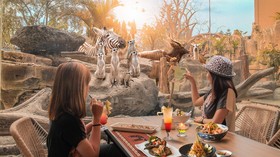 Kuliner Royal Safari Garden dengan Pemandangan Satwa Asia, Afrika & AS