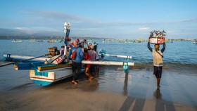 Portofolio Pembiayaan Berkelanjutan BRI Capai Rp764,8 Triliun