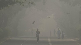 Sekolah di New Delhi Ditutup Akibat Polusi Udara Memburuk