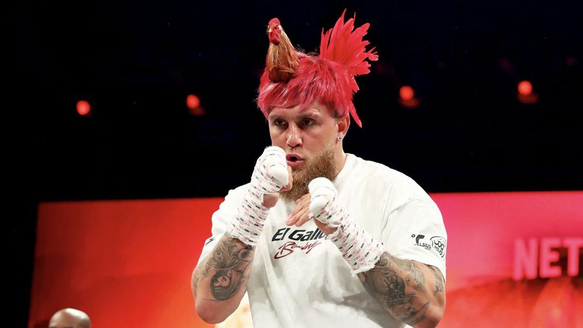 Duel Ronda Rousey Vs Carano Sukses, Jake Paul Bidik Mcgregor