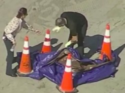 Geger! Ada Kepala Manusia Mendarat di Pantai Florida AS
