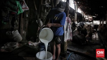 Kementan Ungkap 75 Persen Kebutuhan Susu RI Masih Bergantung Impor