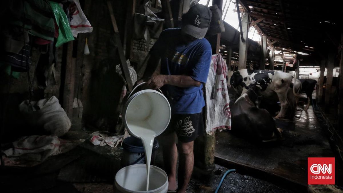 Kementan Ungkap 75 Persen Kebutuhan Susu RI Masih Bergantung Impor