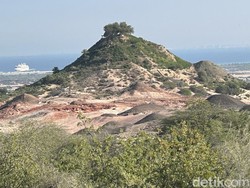 Video Sir Bani Yas, Pulau Pribadi Pendiri UEA Jadi Rumah Hewan Eksotis