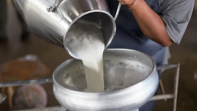 Dulu RI Impor Susu 'Cuma' 40%, Kini Sudah di Atas 80%