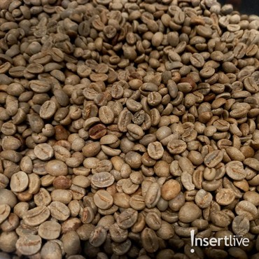 Mengenal Kopi Guatemala yang Punya Kualitas Tinggi Terkenal di Dunia